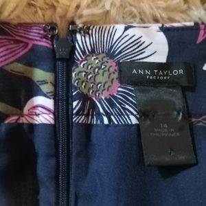 Ann Taylor skirt